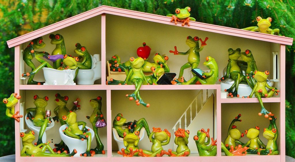 מודל דירה ובו בובות של צפרדע מתגוררות במשותף